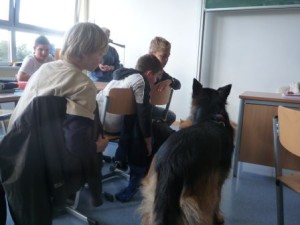 hunde-1