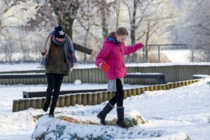 20170127_winterliches Gymrhfehn.4