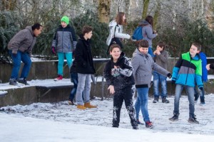 20170127_winterliches Gymrhfehn.5