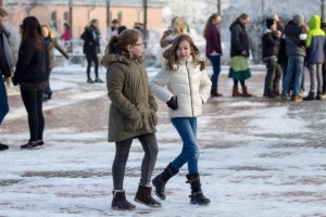 20170127_winterliches Gymrhfehn.6