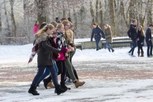 20170127_winterliches Gymrhfehn.7